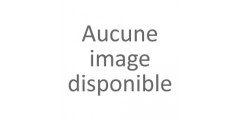ADAPTATEUR AUDIO